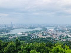 -紫金山天文台