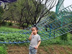 -无锡梅园公园