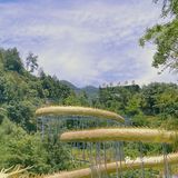 杭州旅游 | 周末暑假去哪玩？漂流走起