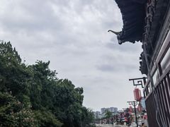 -水绘园