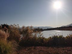 -月亮湾景区