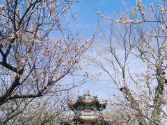 -颐和园
