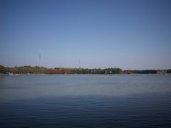 -上海海湾国家森林公园