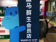 -盒马鲜生(大成店)
