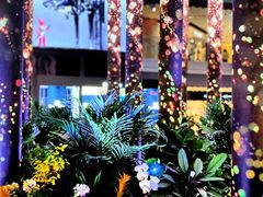 -泡泡玛特POPMART(侨福芳草地店)