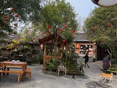 -青城甲(青城山店)