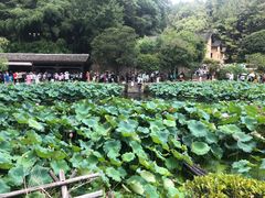 -韶山毛泽东同志故居