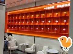 -极拉图·现制冰淇淋(梅溪湖新天地步步高店)