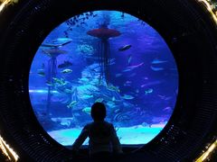 -沈阳海洋探索中心