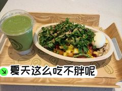 -油梨树 AVOCADO TREE(亮马桥店)