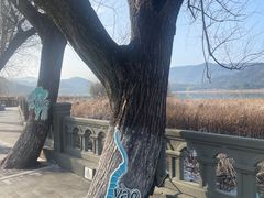 -鸣鹤古镇