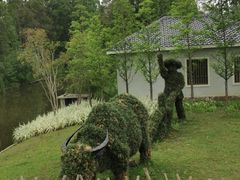 -上海长兴岛郊野公园