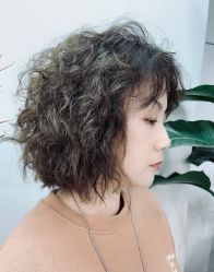 -蚂蚁造型俱乐部