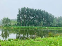 -东郊湿地公园