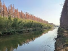 -黄海国家森林公园