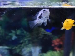 -苏州海洋馆