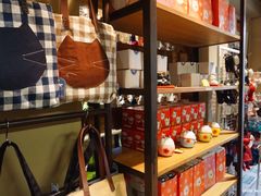 -猫咪博物馆(顶澳仔猫街店)