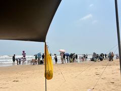 -日照海滨国家森林公园
