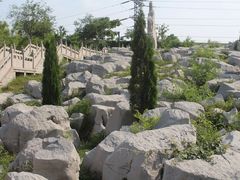 -原山国家森林公园