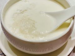杏汁燕窩-金悦轩海鲜城(渔人码头店)