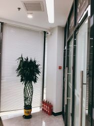 -悟空祛痘·诺奖技术专业店