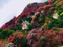 -石门坊