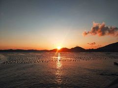 -枸杞岛