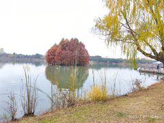 -尚湖风景区