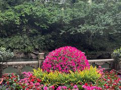-兰亭风景区
