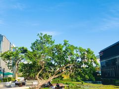 -星巴克(深圳前海企业公馆店)