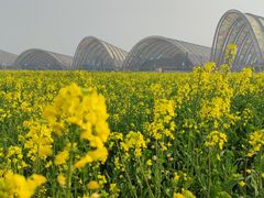 -中国天府农业博览园