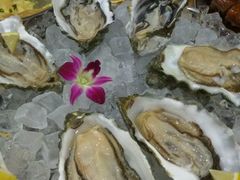 -蚝专家(北滘店)