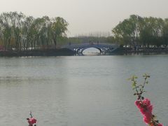 -大兴滨河森林公园