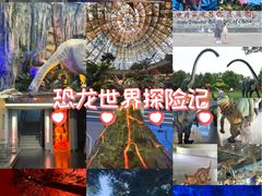 -中国西峡恐龙遗迹园