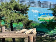 -西霞口神雕山野生动物世界