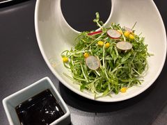 -顺福苑·新派淮扬菜