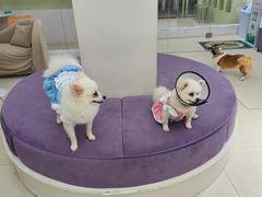 -怪兽屋·羊驼·猫咖·狗咖(俊华广场店)