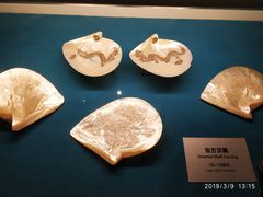 -青岛贝壳博物馆