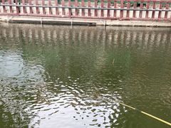 -酷鱼垂钓CLUB(朝阳区博大路店 )