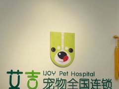 -艾吉宠物医院·疑难杂症转诊中心·猫友好(碧江路院)