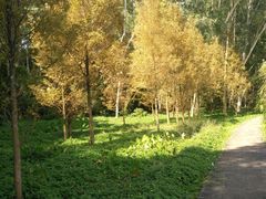 -福建鲤鱼洲酒店