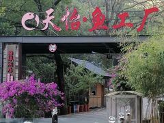 -天怡·鱼工厂(梅溪湖店)