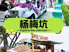 -杨梅坑