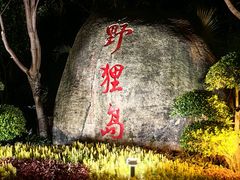 -野狸岛