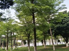 -松山湖南湖湾露营营地
