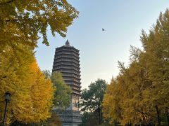-玲珑塔公园