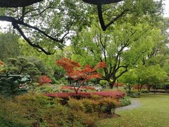 -申粤轩酒楼·三十年粤菜经典(丁香花园店)