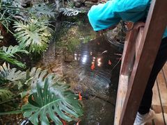 -聚缘堂·海鲜私房菜(松岭路店)
