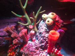 -沈阳海洋探索中心