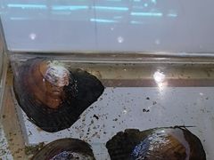 -十八字金·银饰·开蚌DIY·手工体验团建(富力广场店)